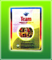 Team